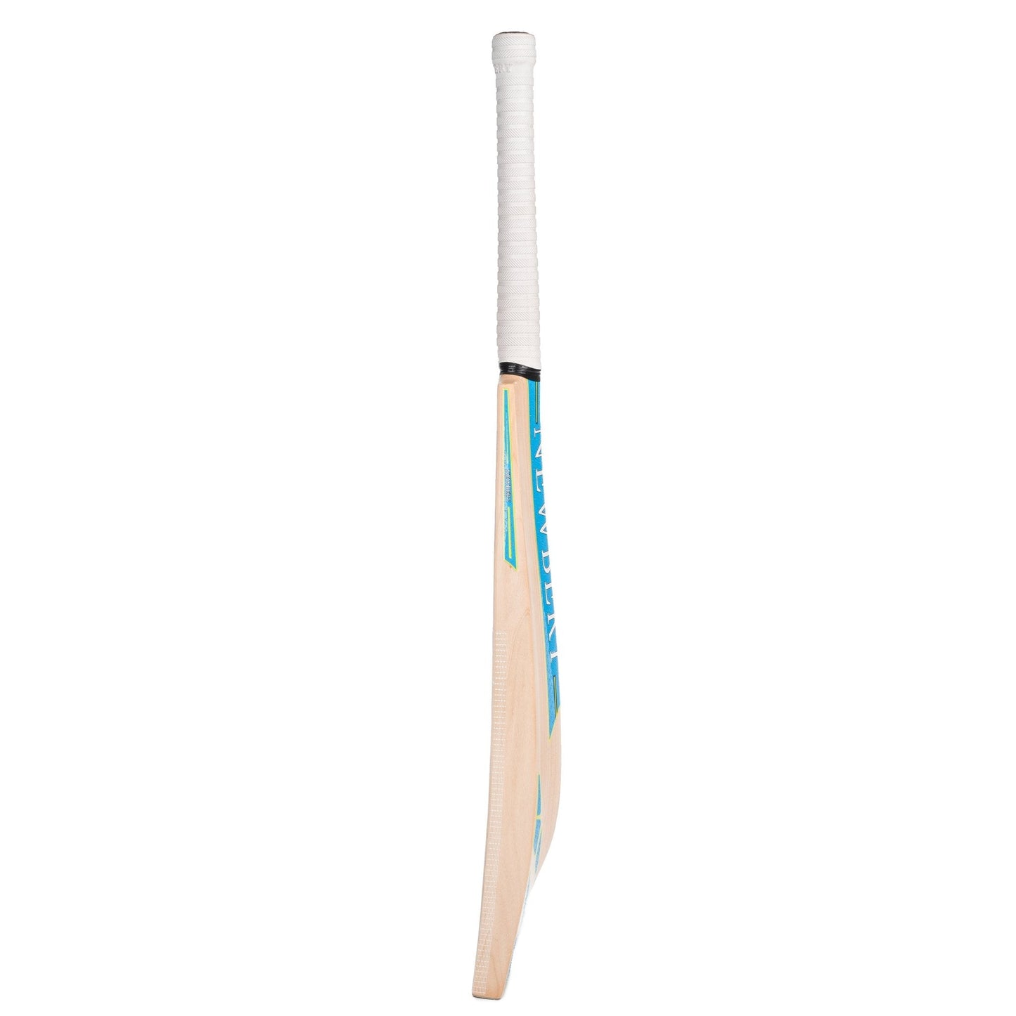 Newbery Pulse Cricket Bat (Kashmir Willow)