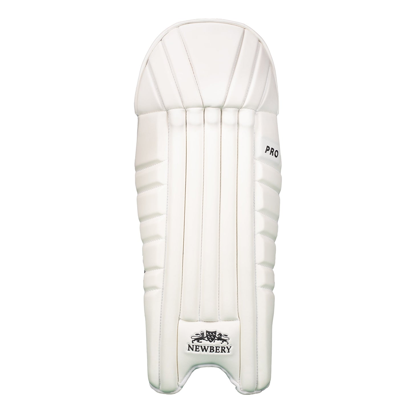 Newbery Pro Wicketkeeping Pads