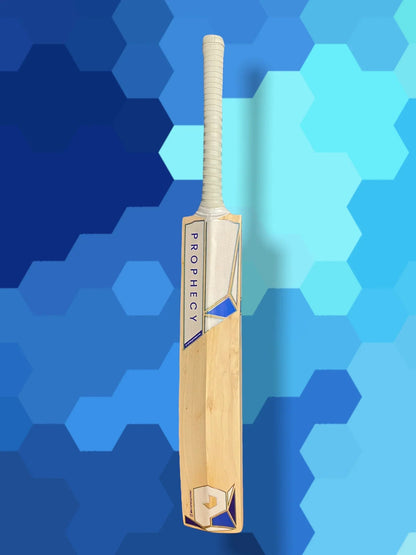 Prophecy Omen Cricket Bat (Junior)