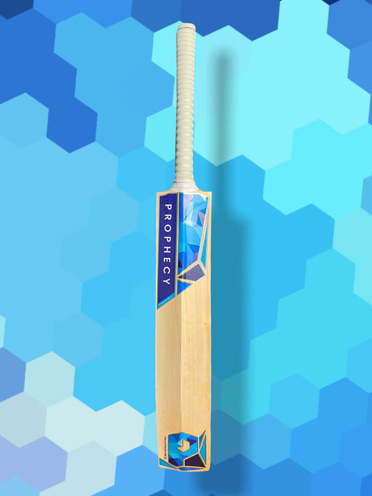 Prophecy Vision Cricket Bat (Junior)