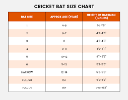 Prophecy Vision Cricket Bat (Junior)